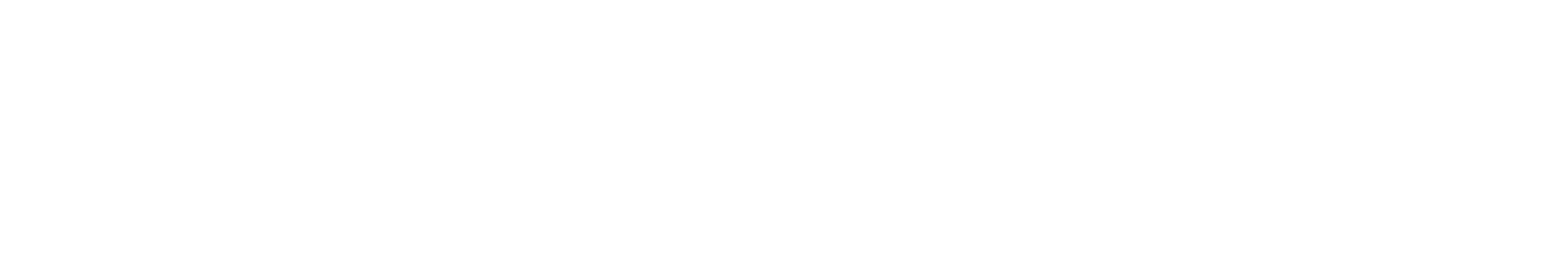 Basic Wizard